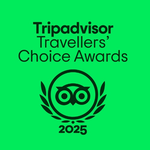 2025 tripadvisor bright green logo
