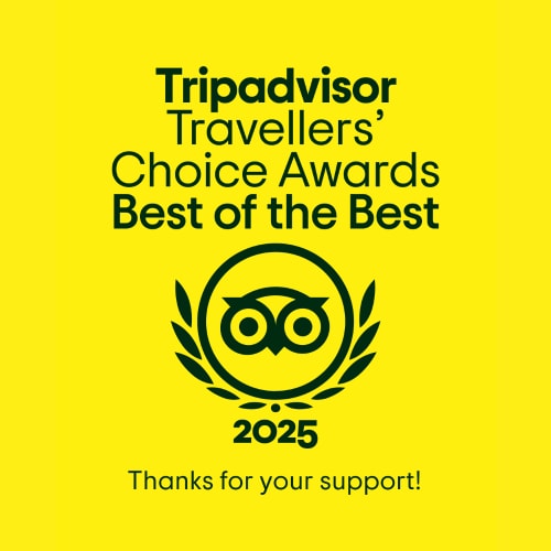 black text on yellow background