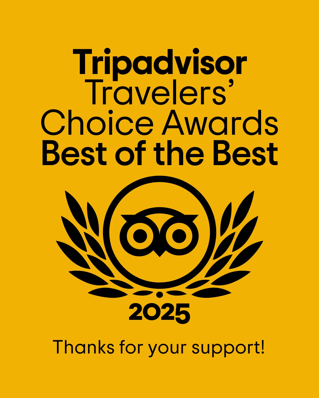 Travelers’ Choice Award 2025 Logo