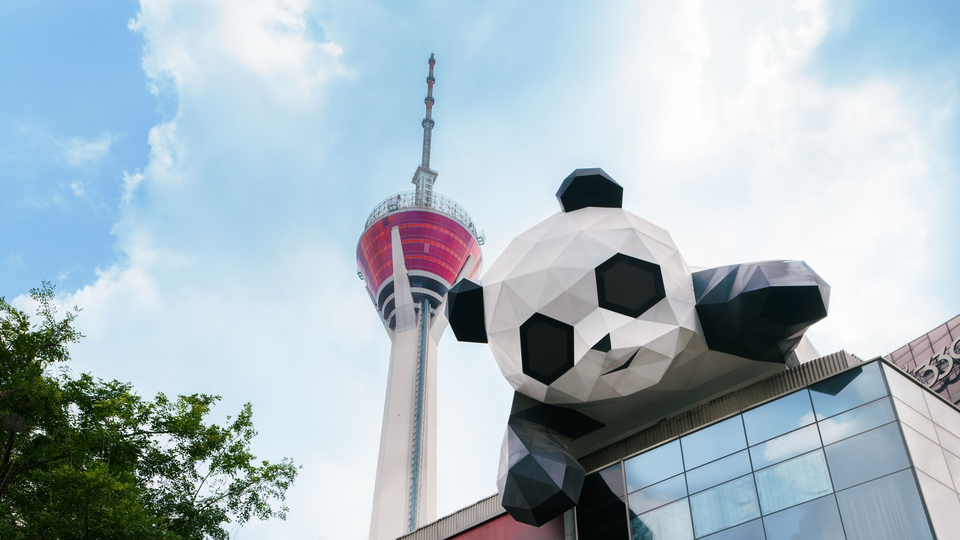 立体的熊猫雕塑像坐在大厦上