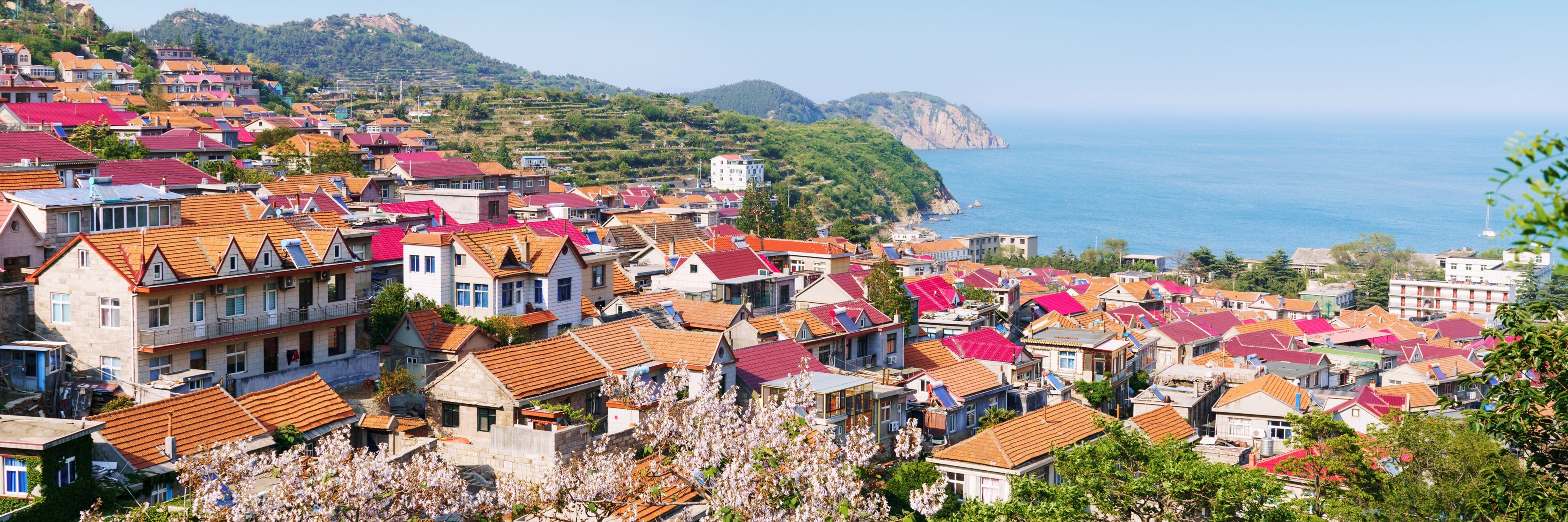 青岛粉色橘黄色屋顶和山水风景