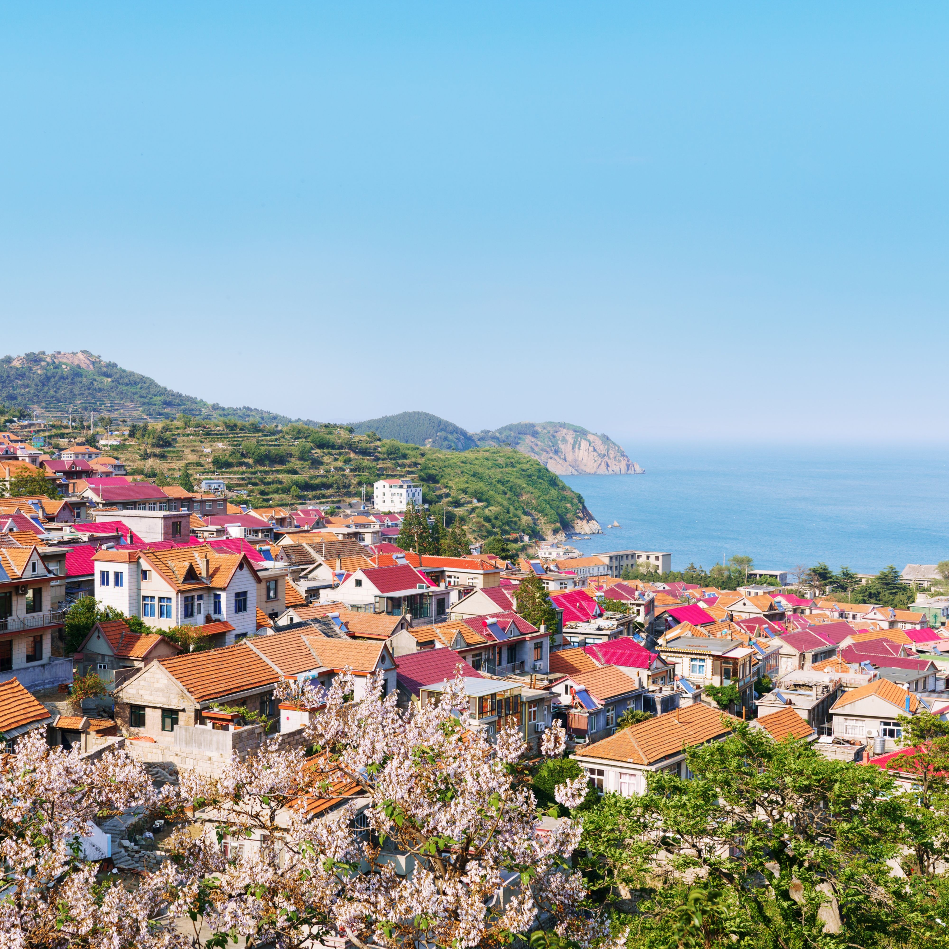 qingdao houses with pink and orange rooftops 