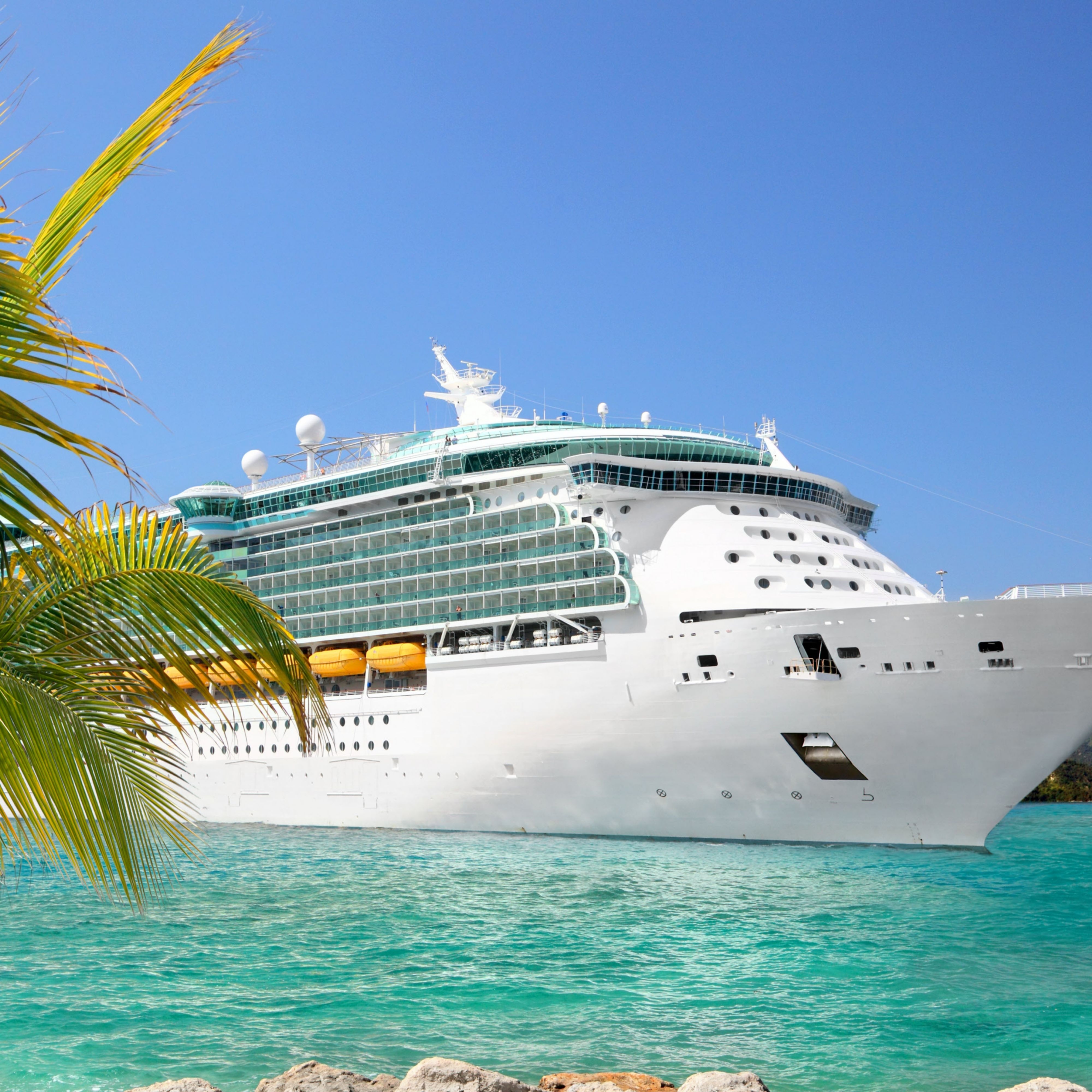 穿过棕榈树的游轮