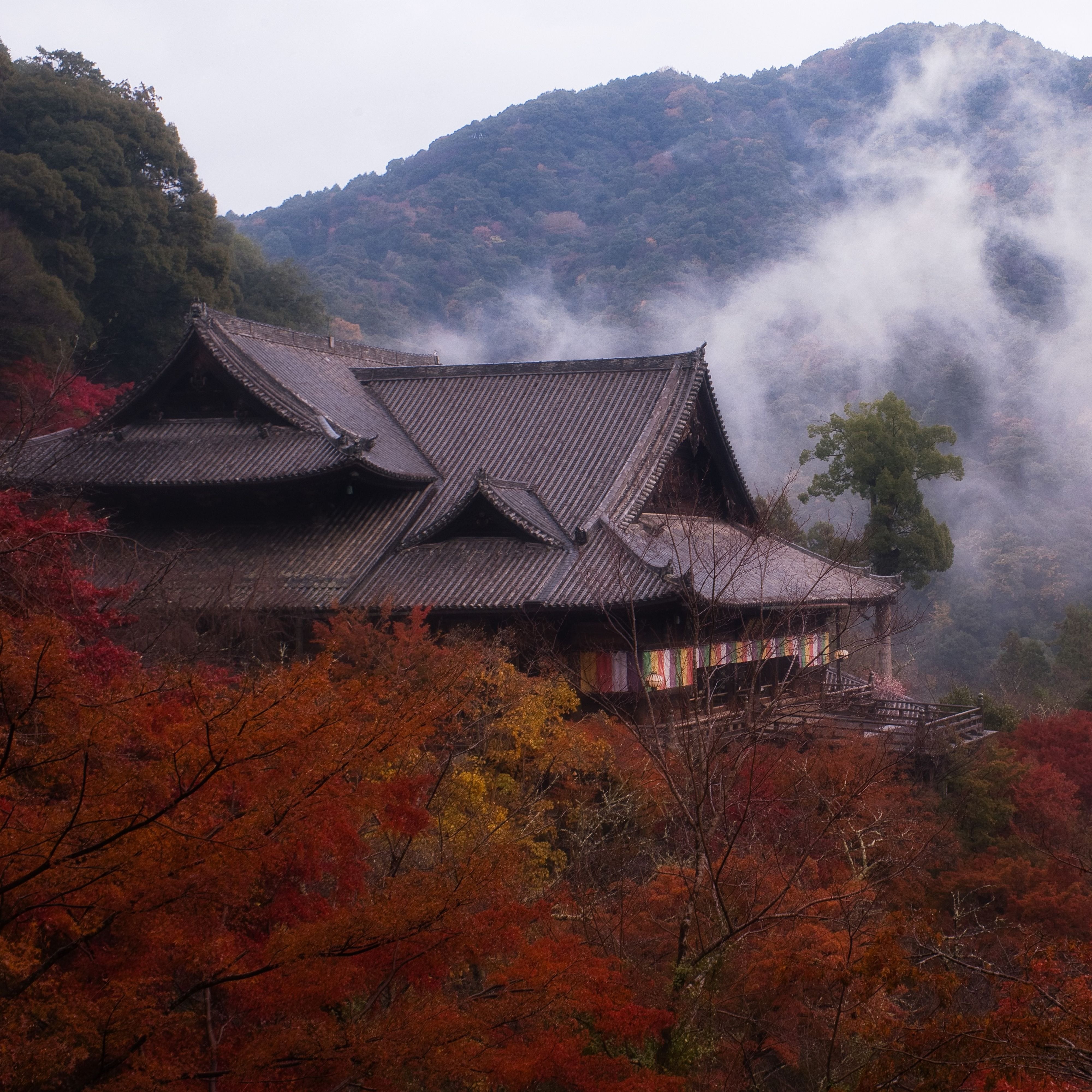 长谷寺