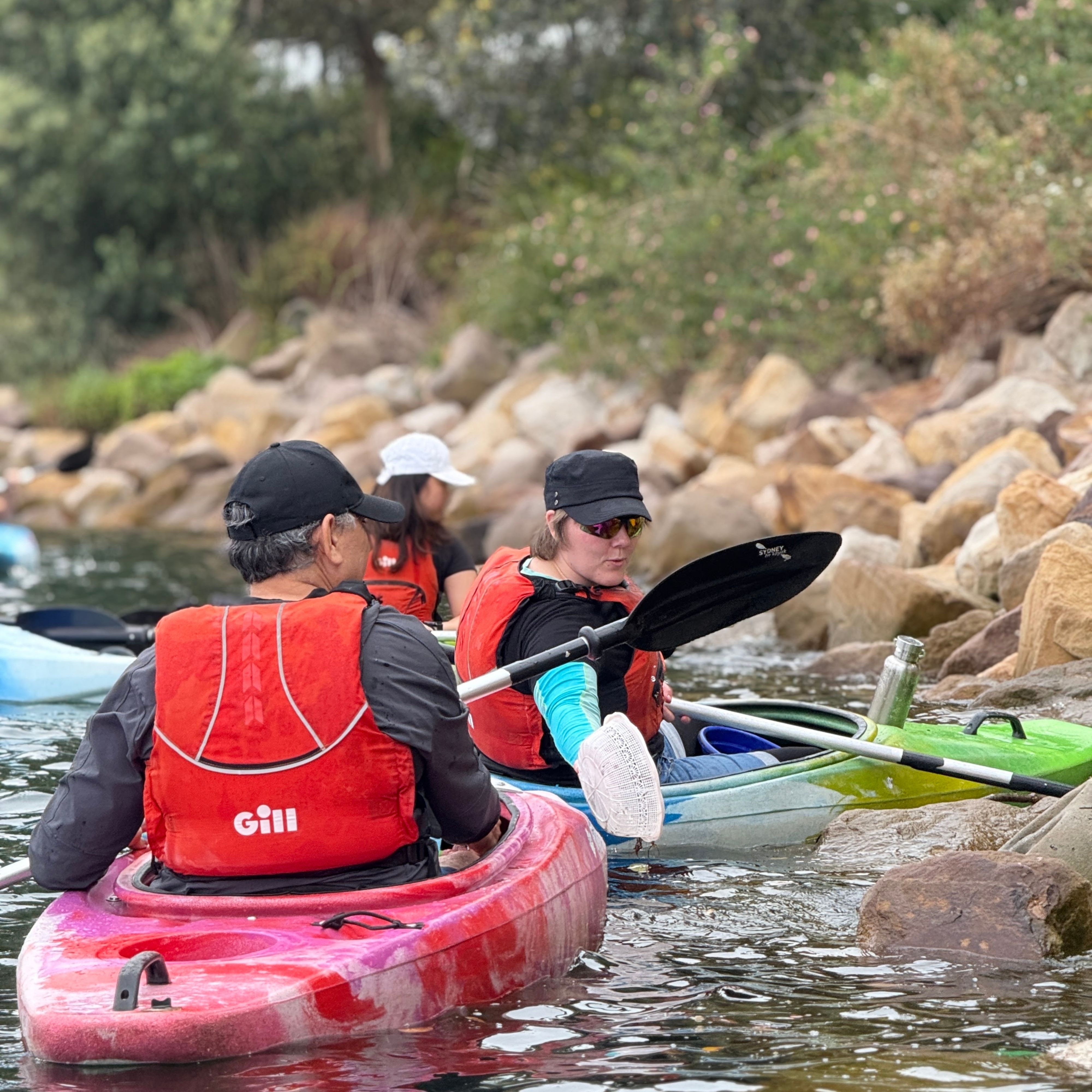 悉尼港畔环保活动