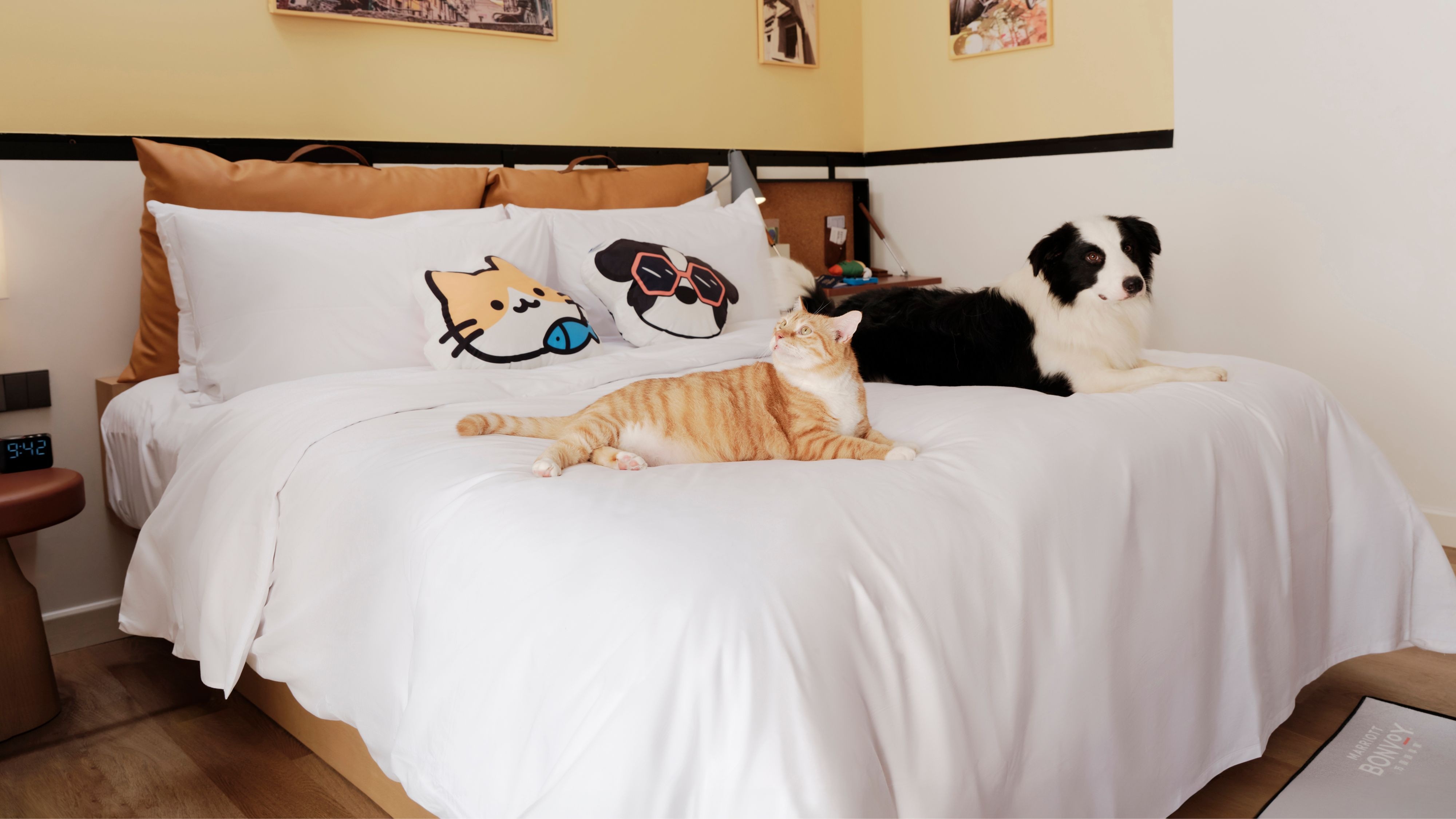 万豪旅享家「握爪计划」