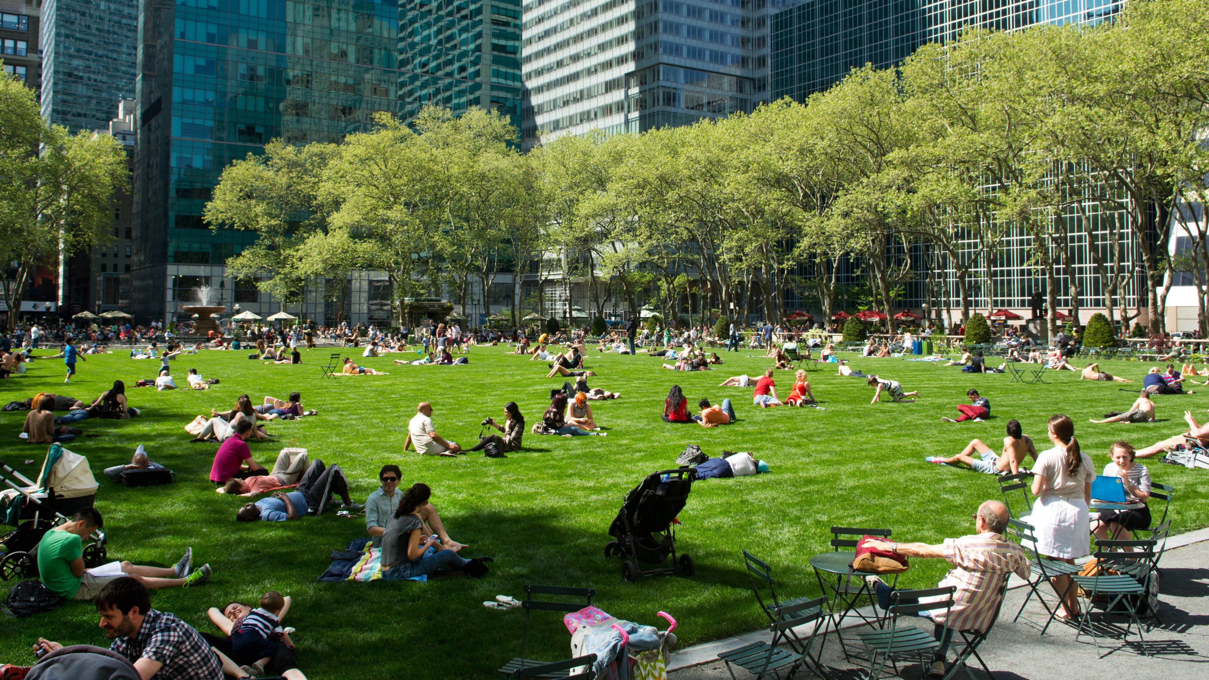 布莱恩公园草坪