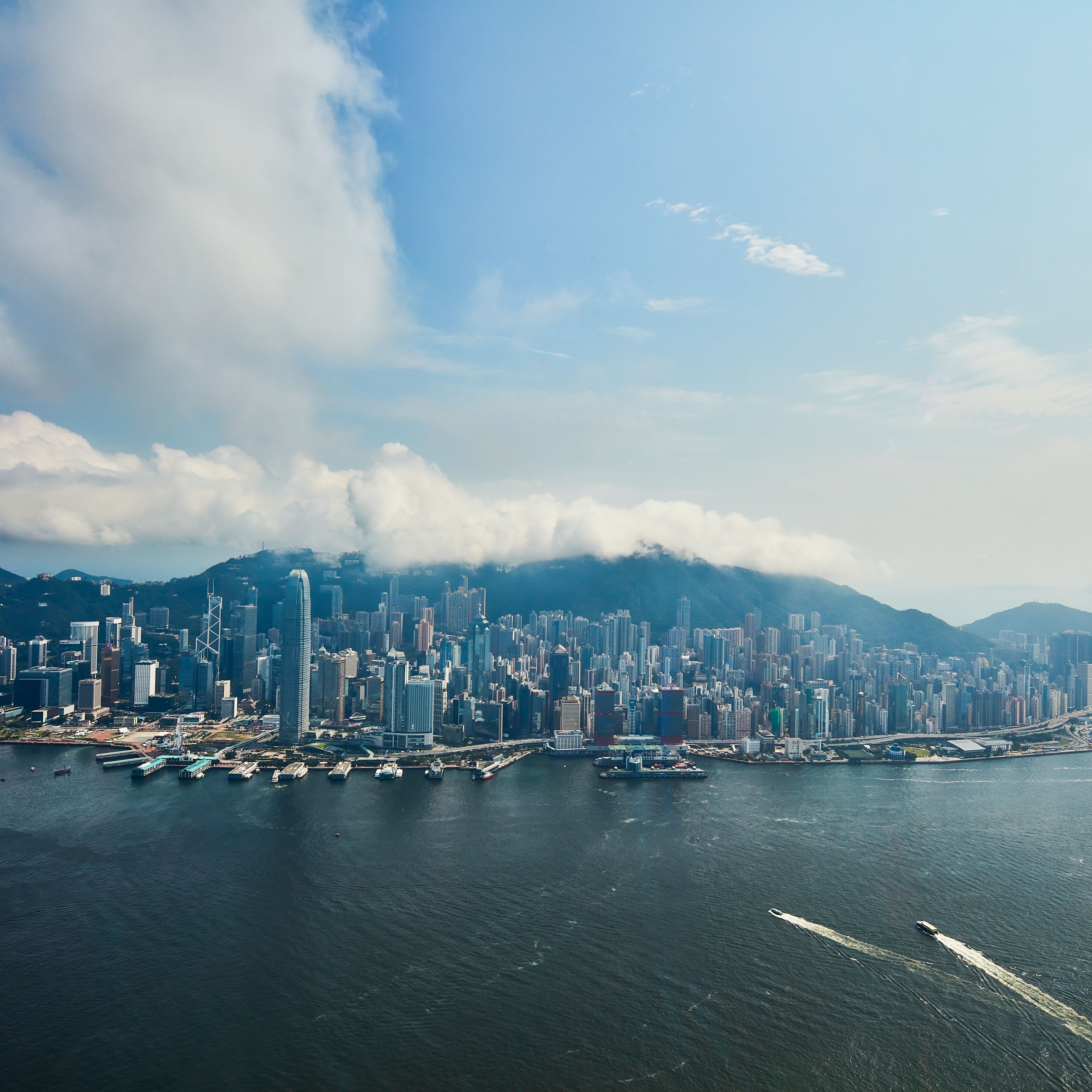 尊优维港豪华客房