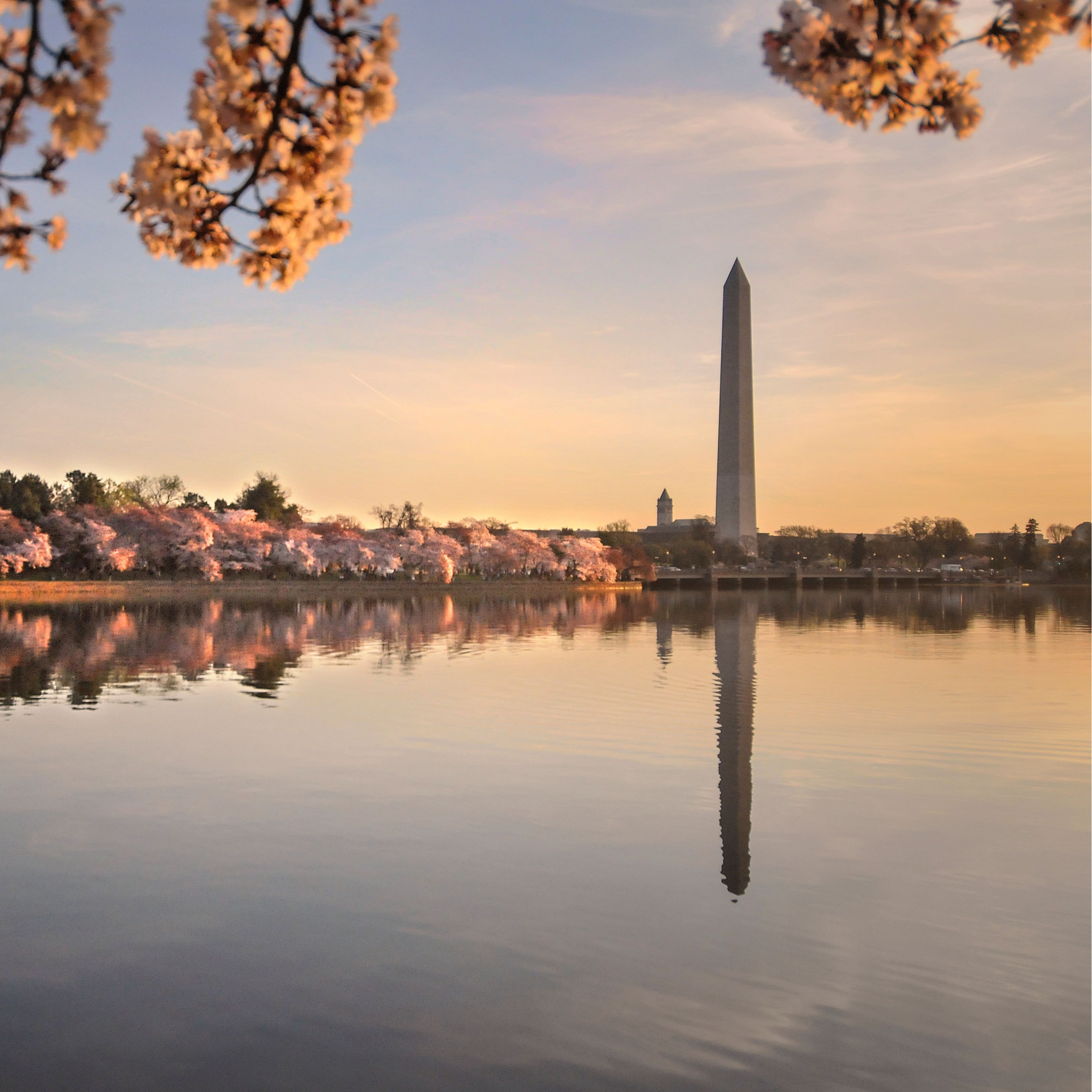 波托马克河畔的华盛顿特区，春日黄昏时分